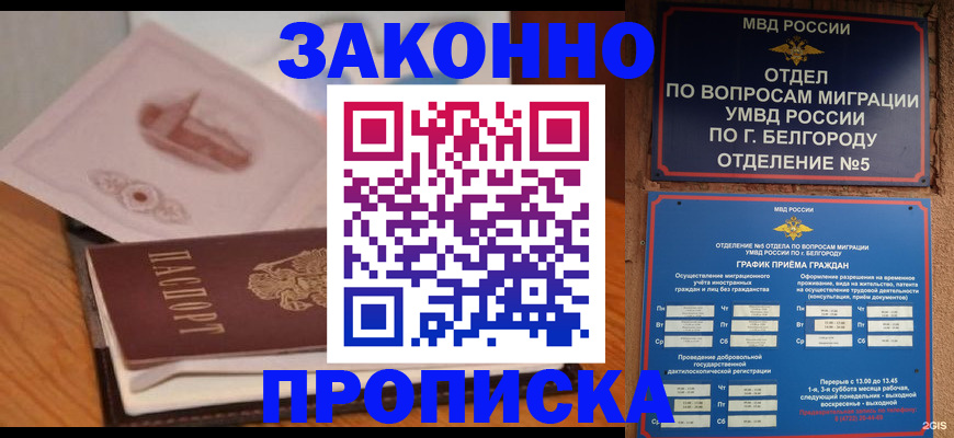 прописка в Смоленске